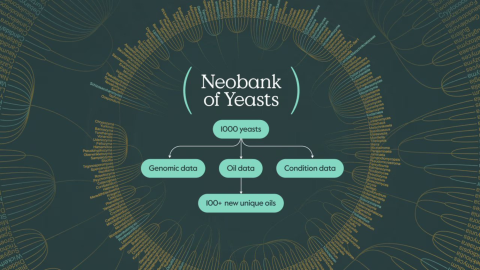 68cb7dbc73bb5c5c0dd0db9d_NOY SMEY